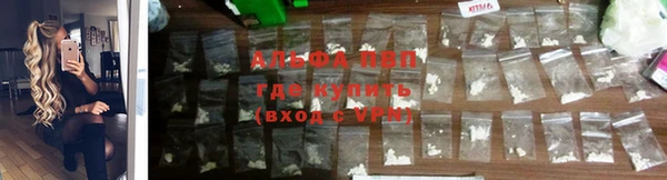 PSILOCYBIN Арсеньев
