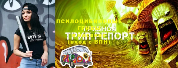 МДПВ Аркадак