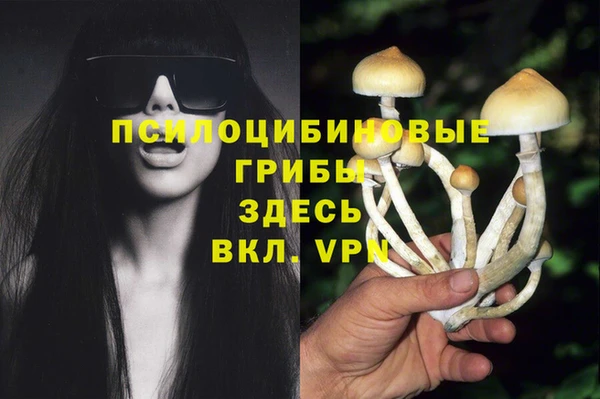 МДПВ Аркадак