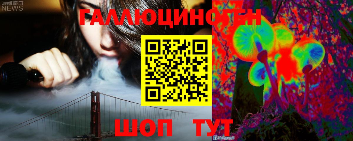 Галлюциногенные грибы Psilocybe Балашиха